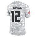 Davalo A.Falcons #12 Avieon Terrell Player Arctic Camo Salute to Service Limited Stitched Jerseys