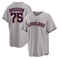Davalo C.Guardians #75 Connor Brogdon Player Gray Game Home Stitched Jerseys