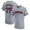 Davalo C.Guardians #75 Connor Brogdon Player Gray Road Limited Elite Home Stitched Jerseys