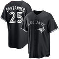 Davalo T.Blue Jays #25 Anthony Santander Player Black City Connect Limited Stitched Jerseys